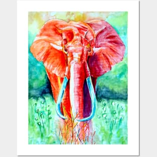 Red African Elephant Posters and Art